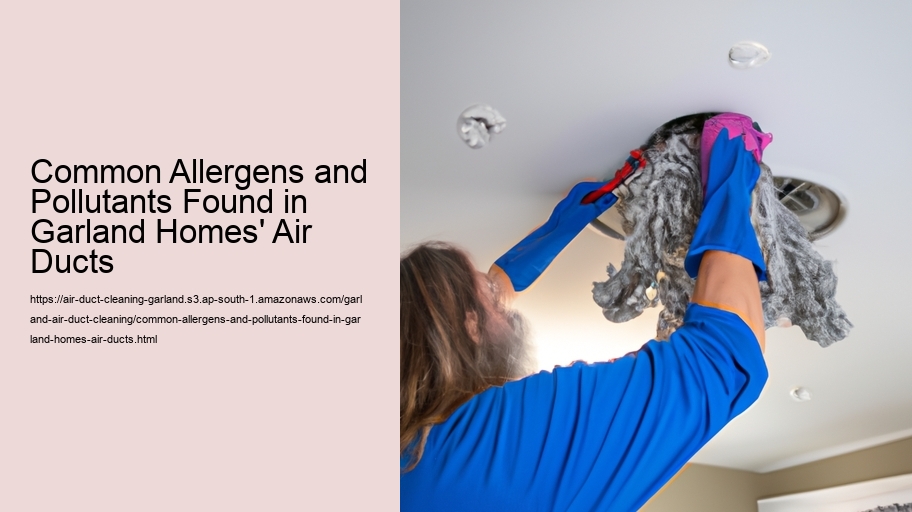 Common Allergens and Pollutants Found in Garland Homes' Air Ducts